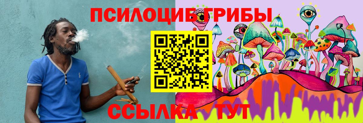 Псилоцибиновые грибы Psilocybe Абакан