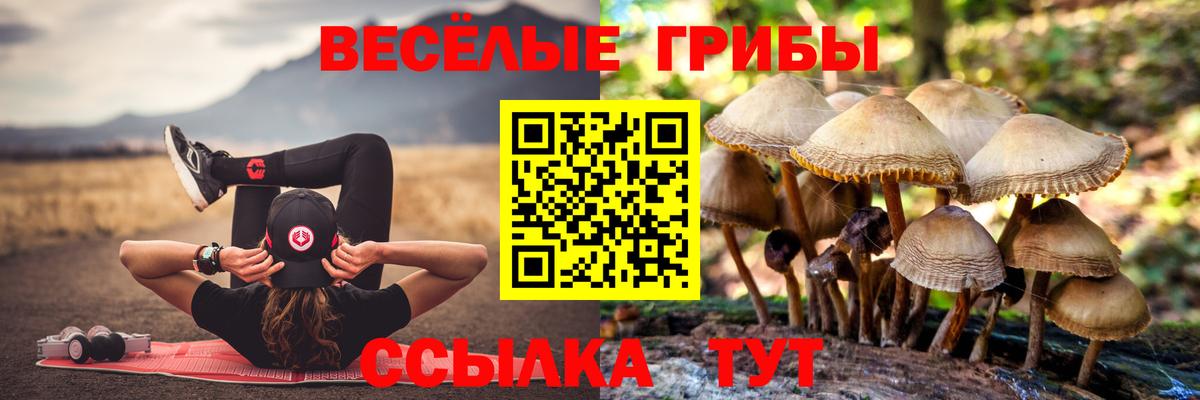 Абакан  Псилоцибиновые грибы мухоморы  Вход с VPN 